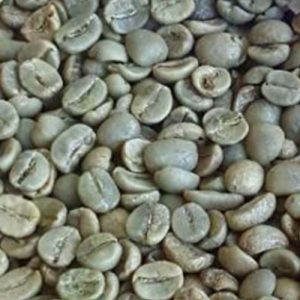 top-coffee-beans-green-4